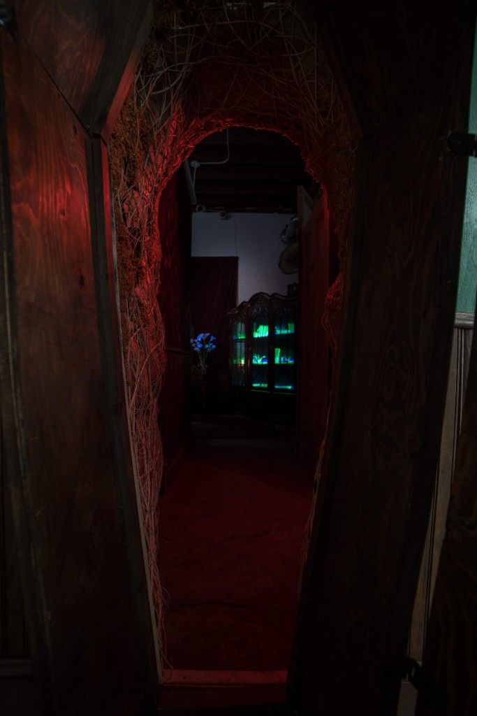 "Nostalgia Purgatory 2026 photo 31"