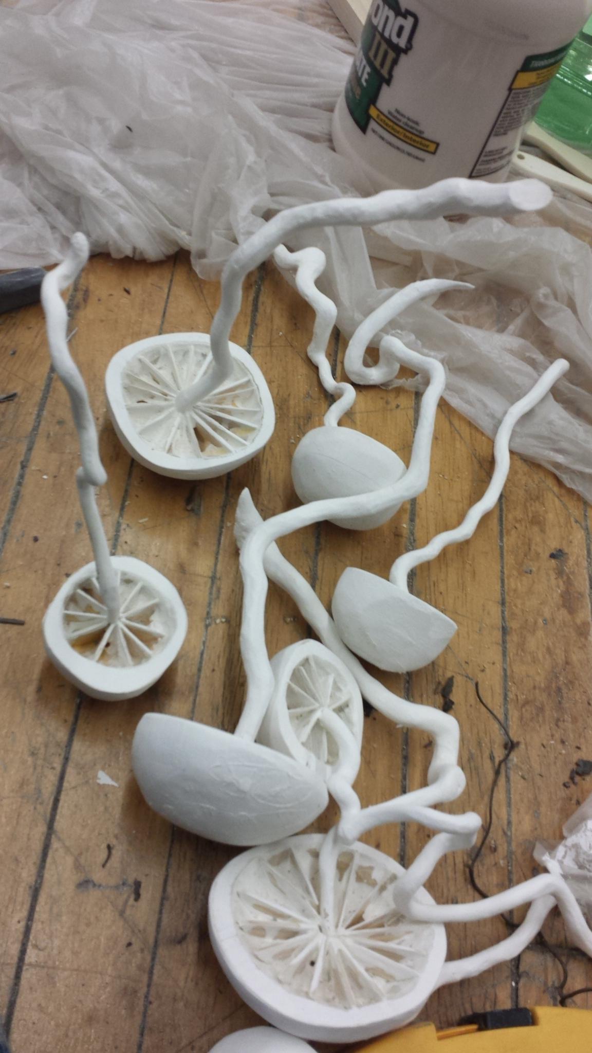 Fungi Process 02