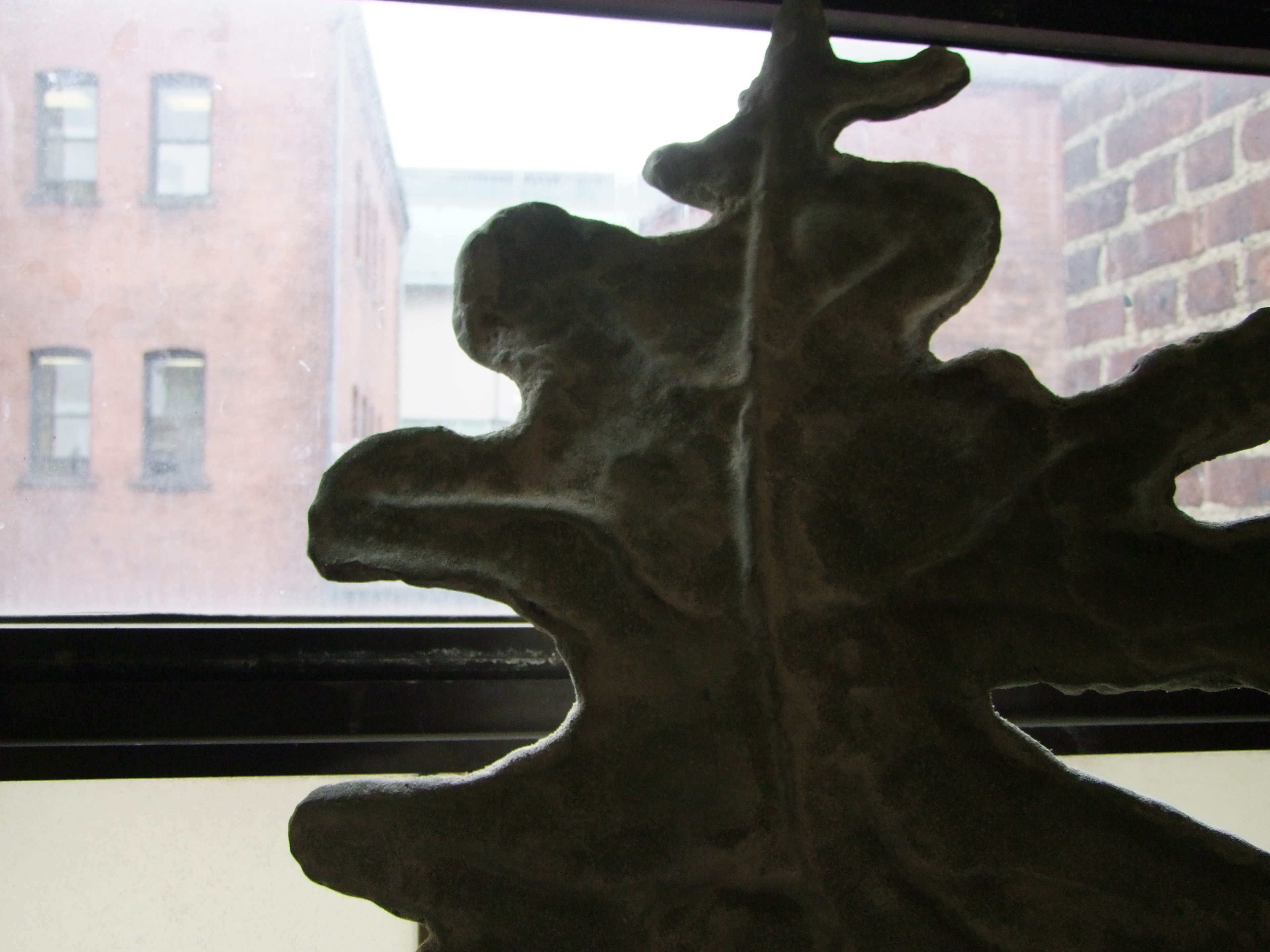 Leaf Backlit Detail