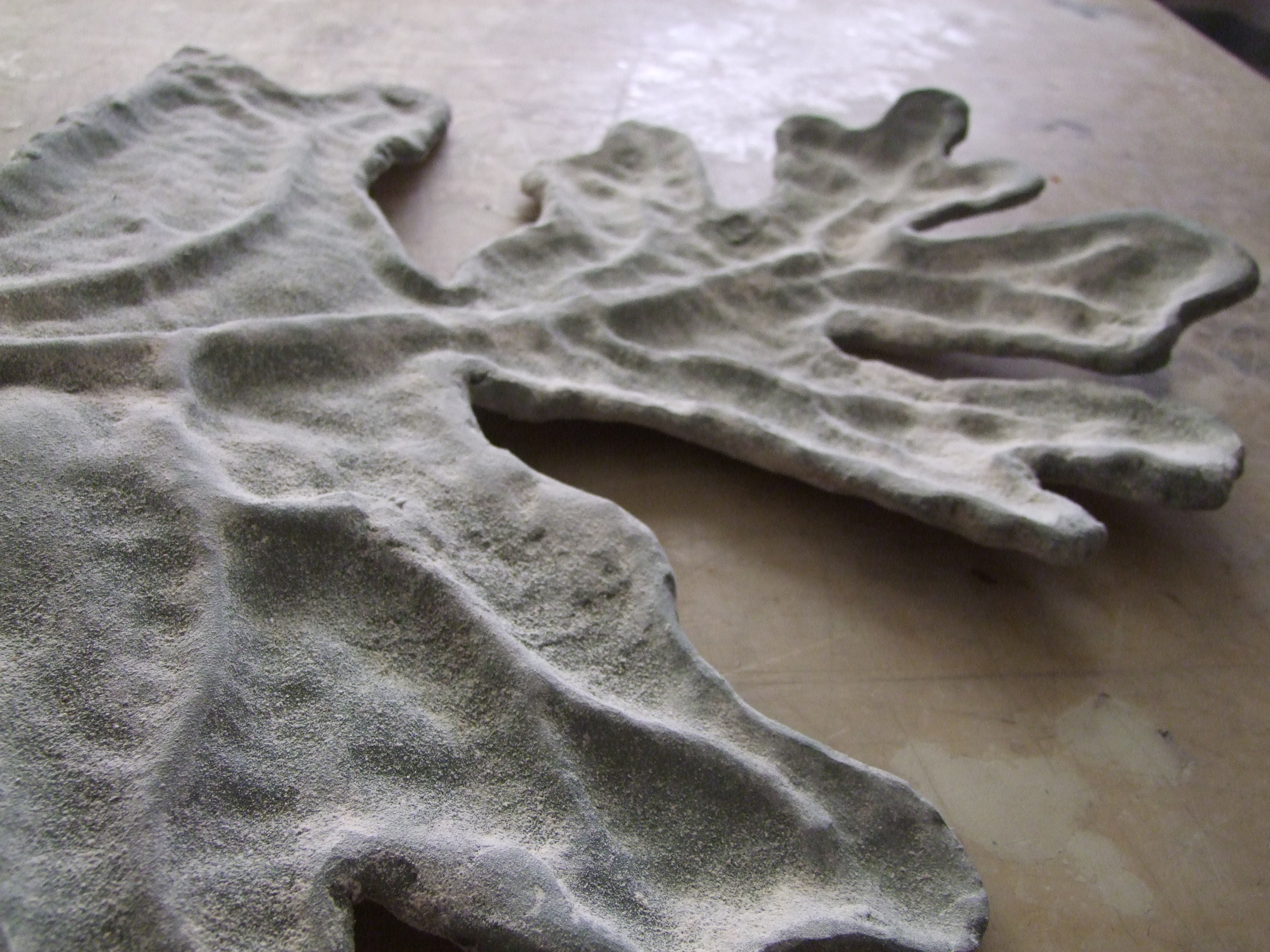 Leaf Detail 02