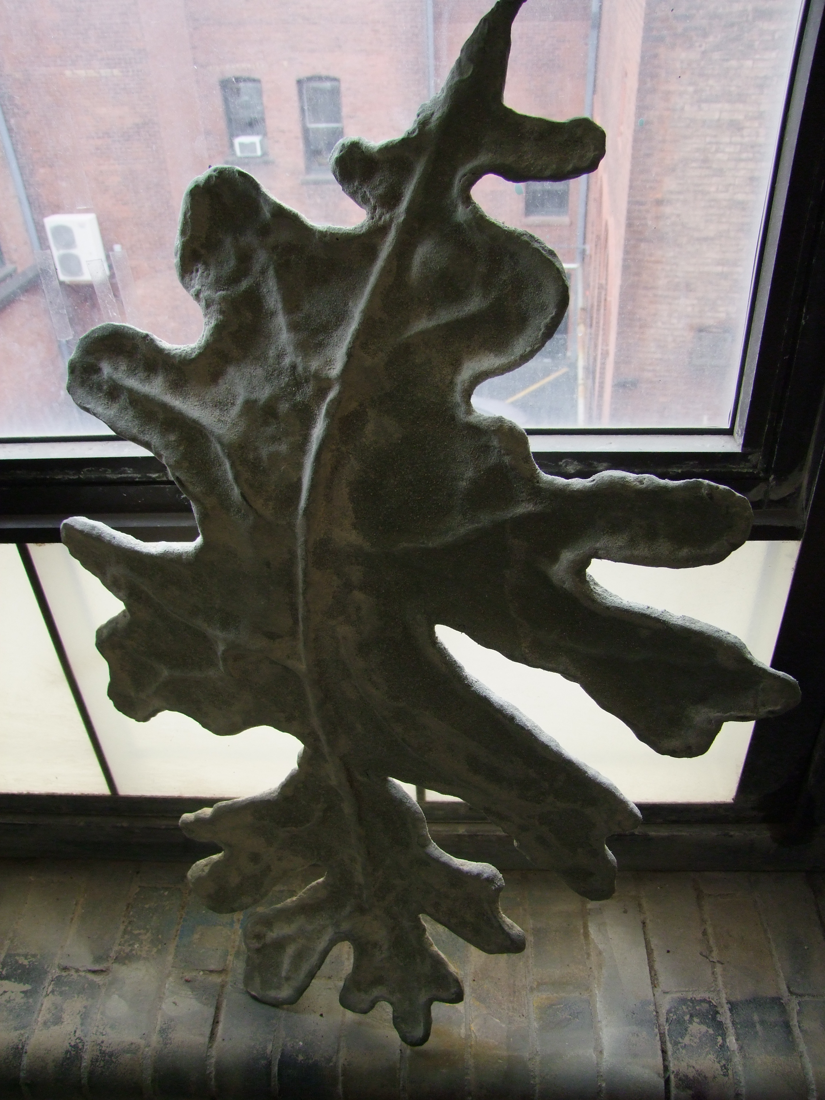 Leaf Silhouette