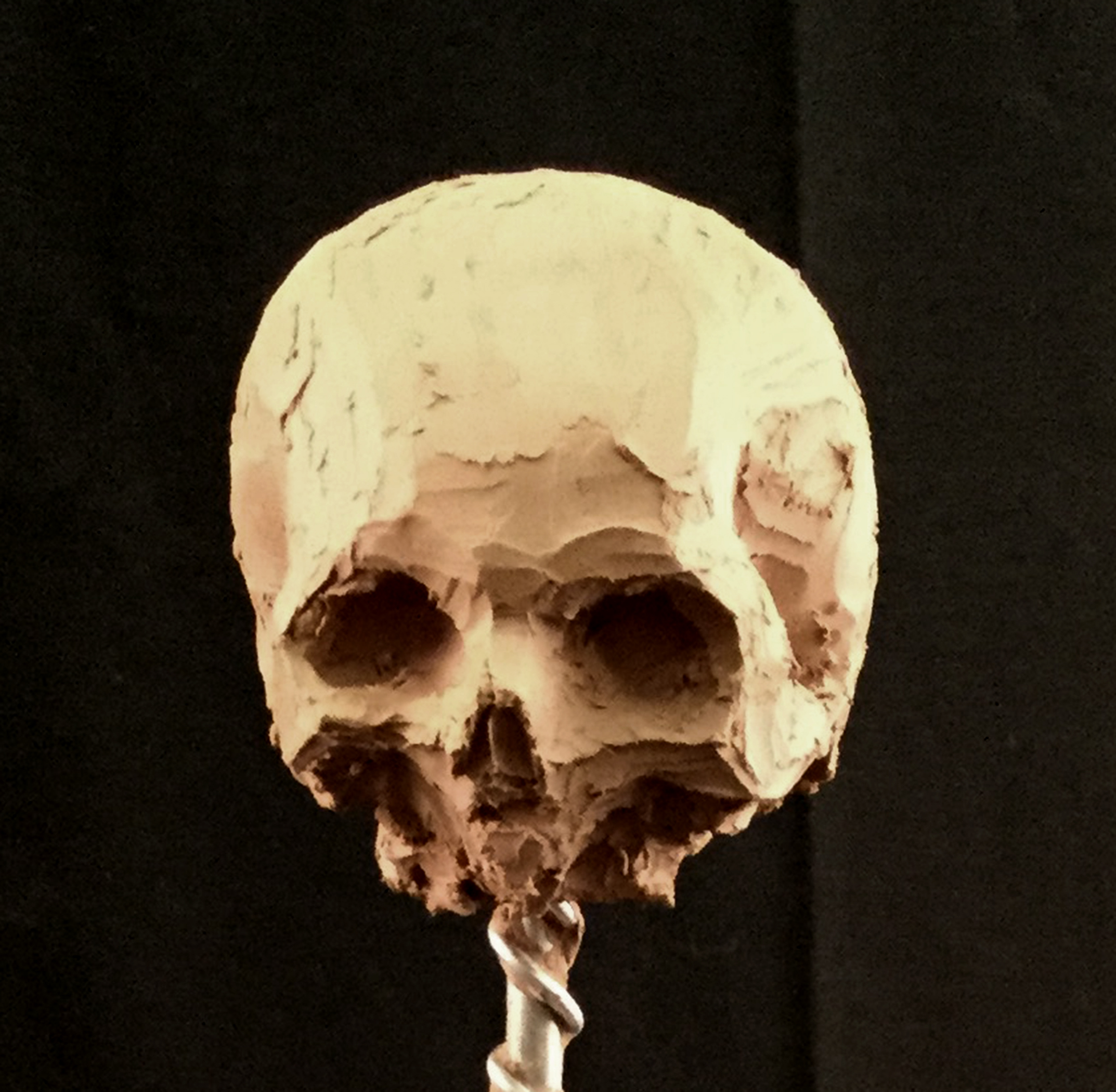 Cranium Study 01