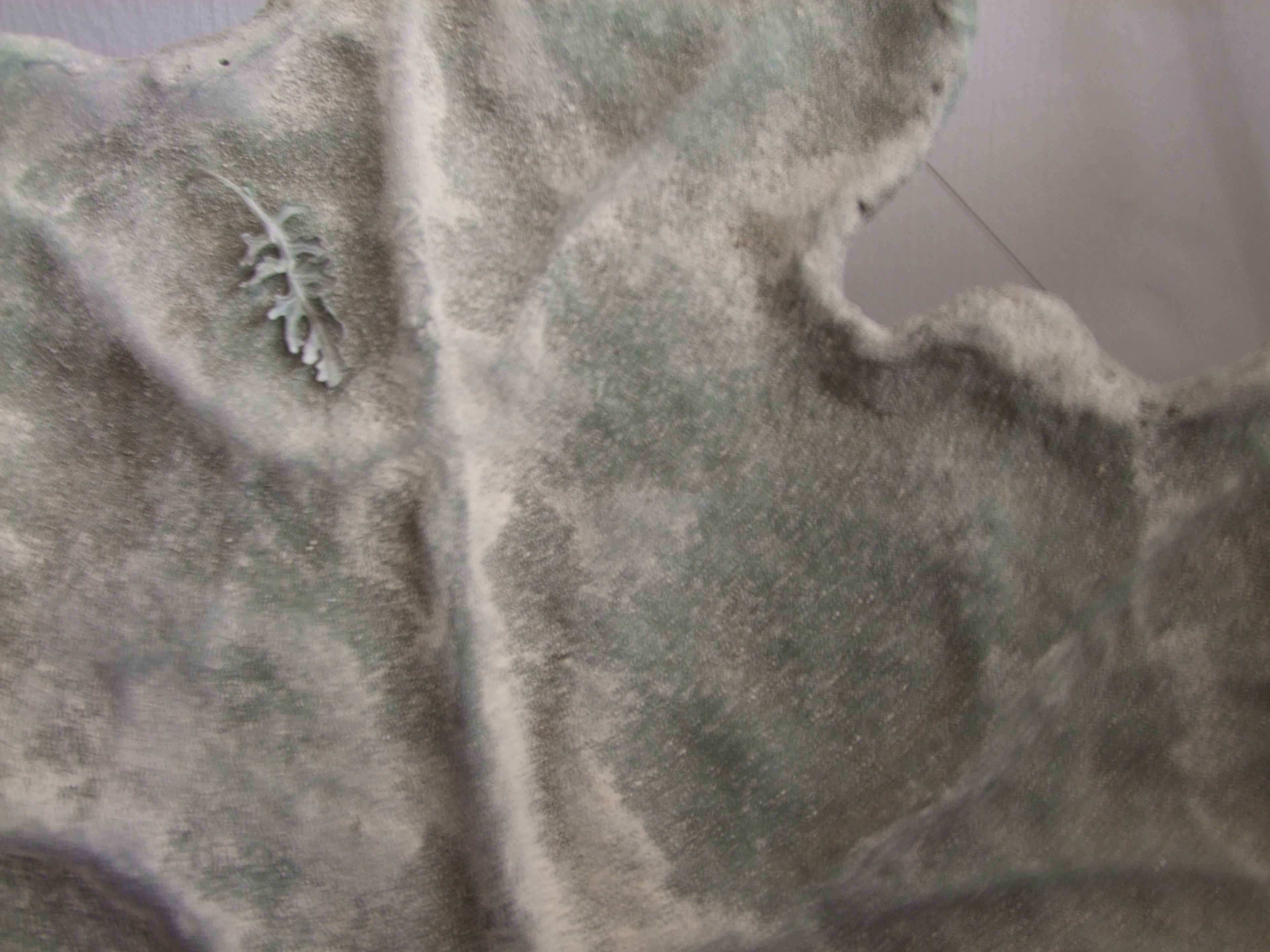 Steel Leaf 01